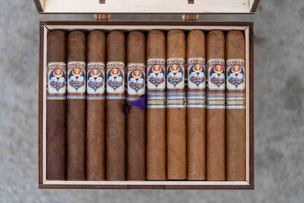 wholesale cigars tampa