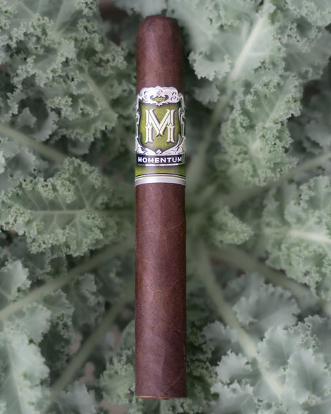 FREE GIFT | Momentum - Toro Maduro