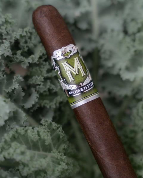 Momentum- Robusto Maduro