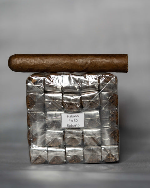 Robusto 20ct Bundle