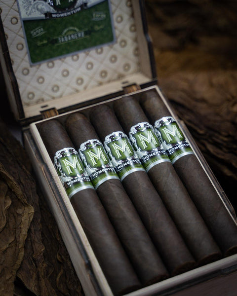 Momentum - Toro Maduro