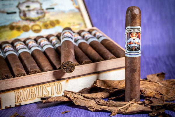 maceda robusto