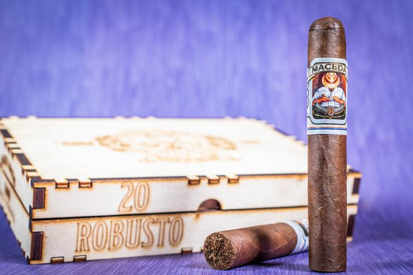 maceda robusto cigars tampa
