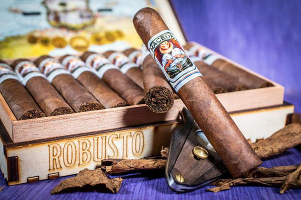 maceda robusto cigars tampa